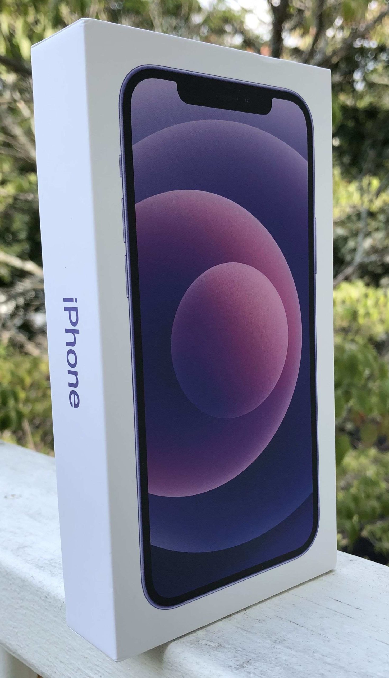 iPhone 12